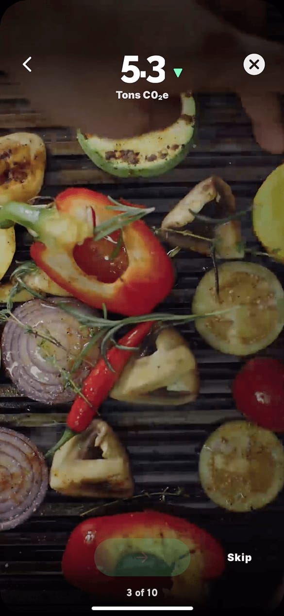 Which best describes your diet?